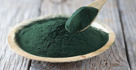 Chlorella powder